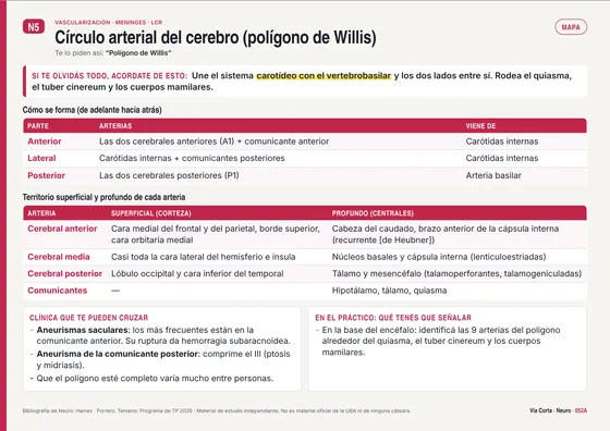 Tema 052: polígono de Willis