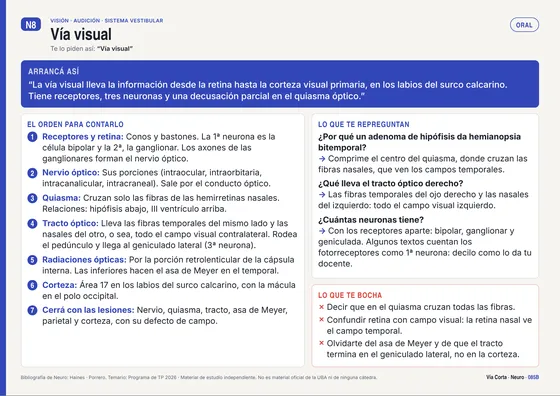 Tema 085, oral: vía visual