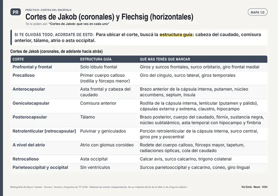 Tema 099: cortes de Jakob